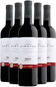 Rượu vang Ý nhập khẩu cao cấp Caster Firmian