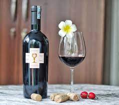 Rượu vang Ý nhập khẩu cao cấp Cubardi Primitivo Schola Sarmenti