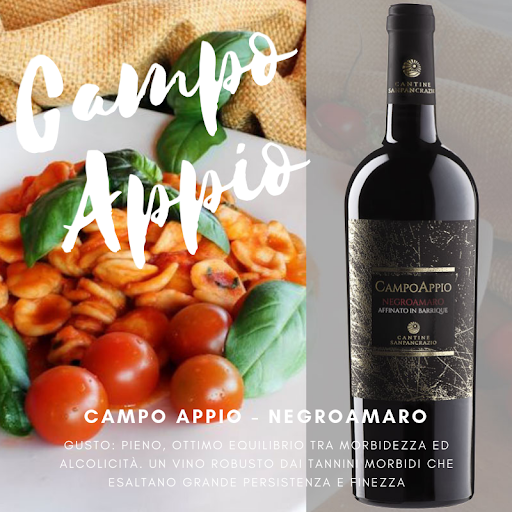 Rượu vang Ý cao cấp Campoappio