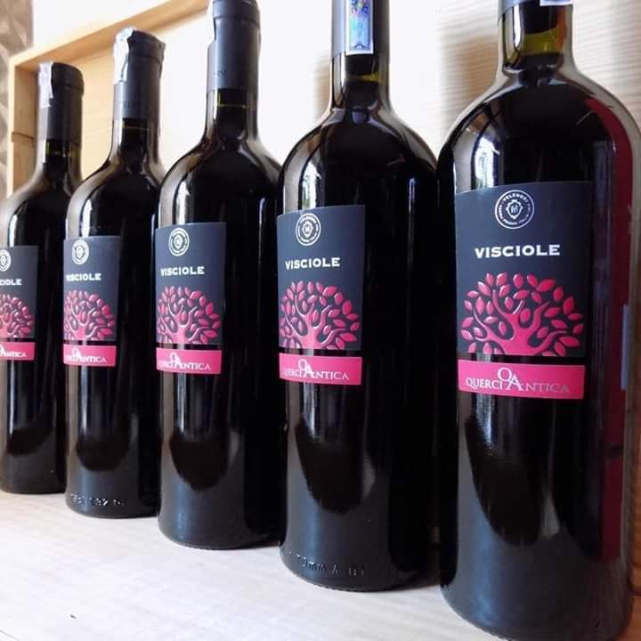 Rượu vang Ý nhập khẩu cao cấp Visciole Velenosi