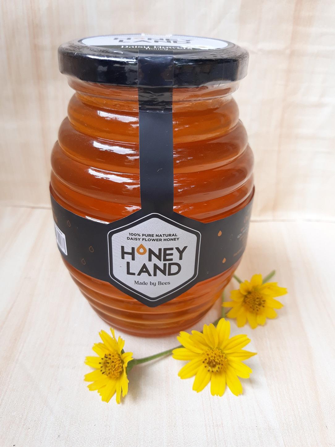 Mật ong hoa xuyến chi Honey Land 500g